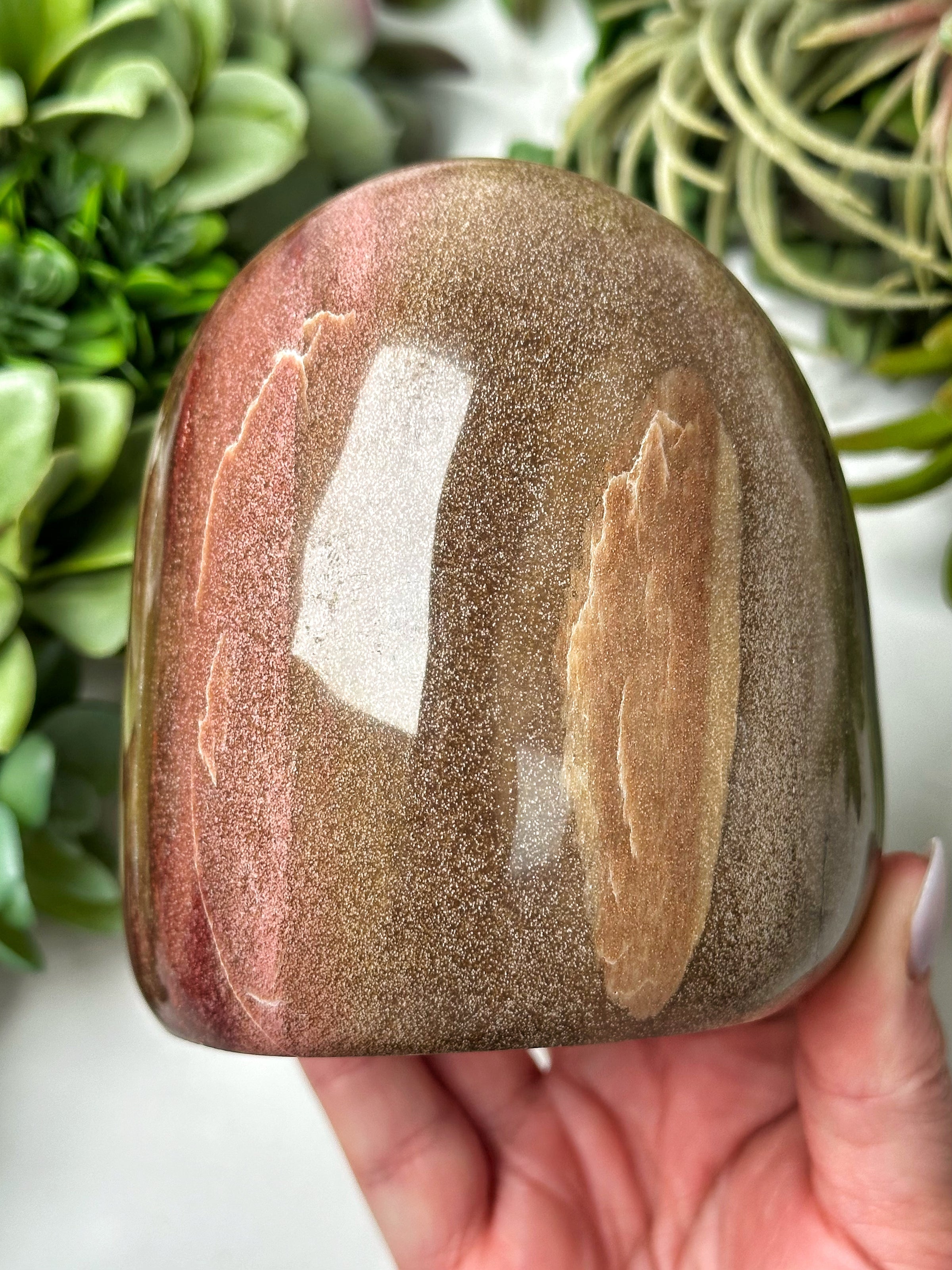 Petrified Wood Freeform - #12