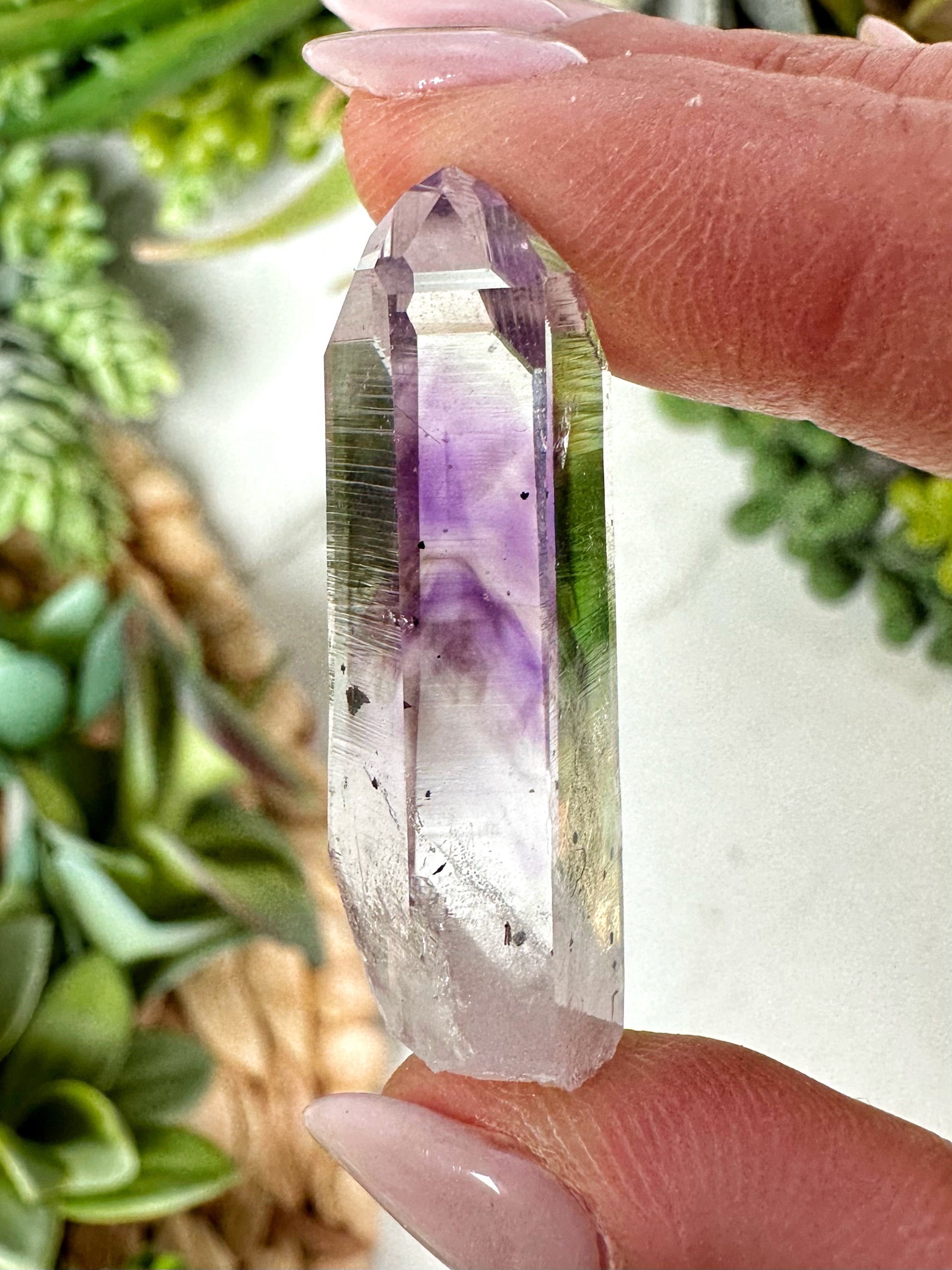 Goboboseb Amethyst - #12