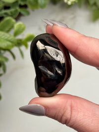 Elite Shungite Palmstone - #14