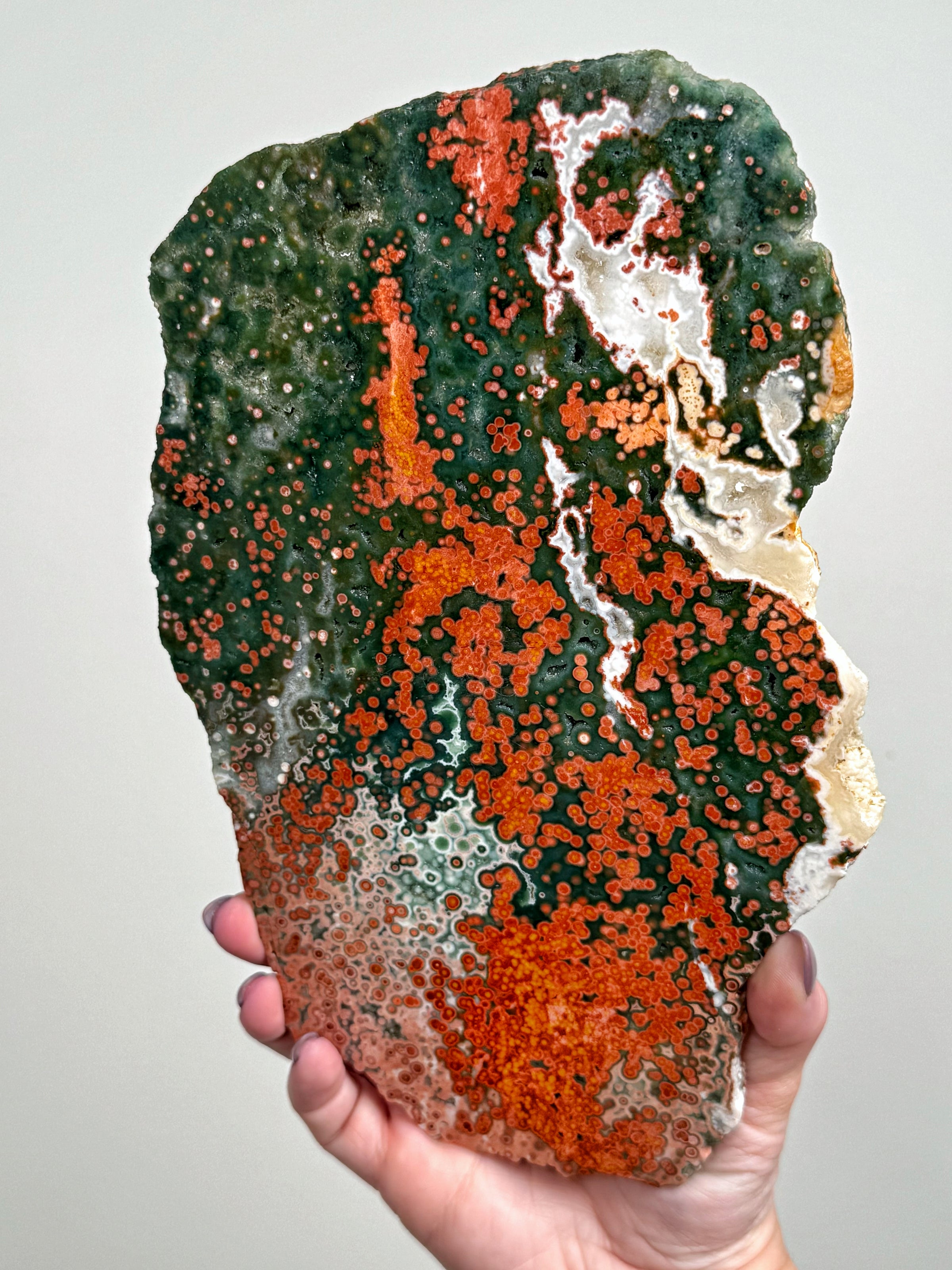 Old Stock Ocean Jasper Slab - #2