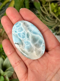 Larimar Palmstone - #2