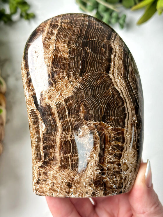 Chocolate Calcite Freeform - #11