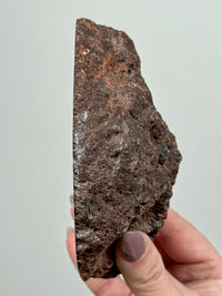 Red Fox Agate Geode - #1