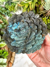 Labradorite Flower - #1