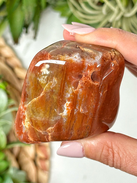 Petrified Wood Freeform - #13