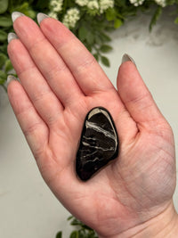 Elite Shungite Palmstone - #11