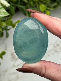 Aquamarine Palmstone - #13