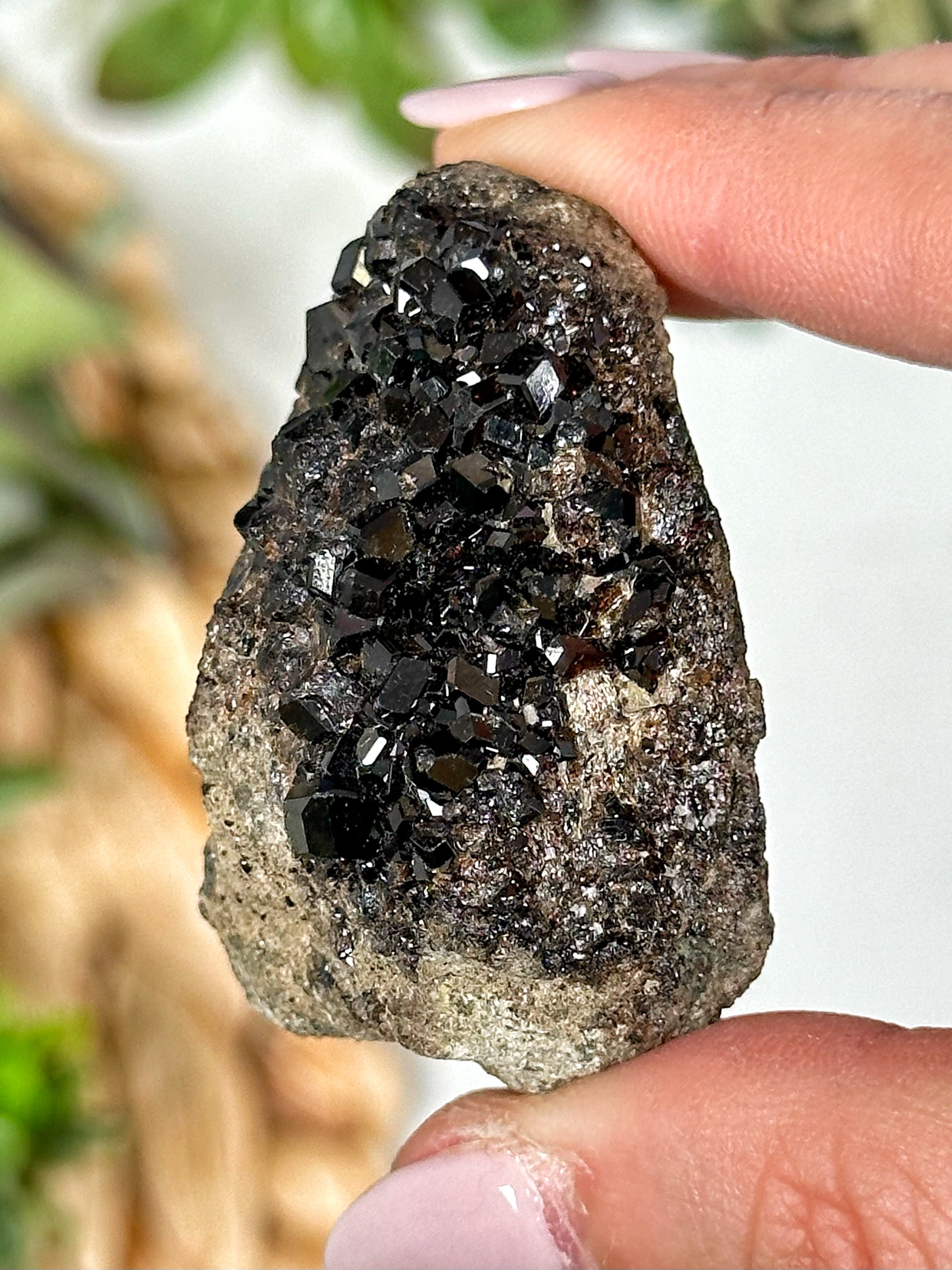 Raw Black Garnet - #2