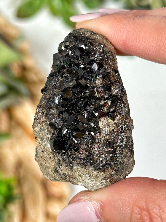 Black Garnet Specimen - #2