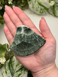 Seraphinite Slab - #2