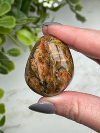 Blue Opalized Petrified Wood Palmstone - #13