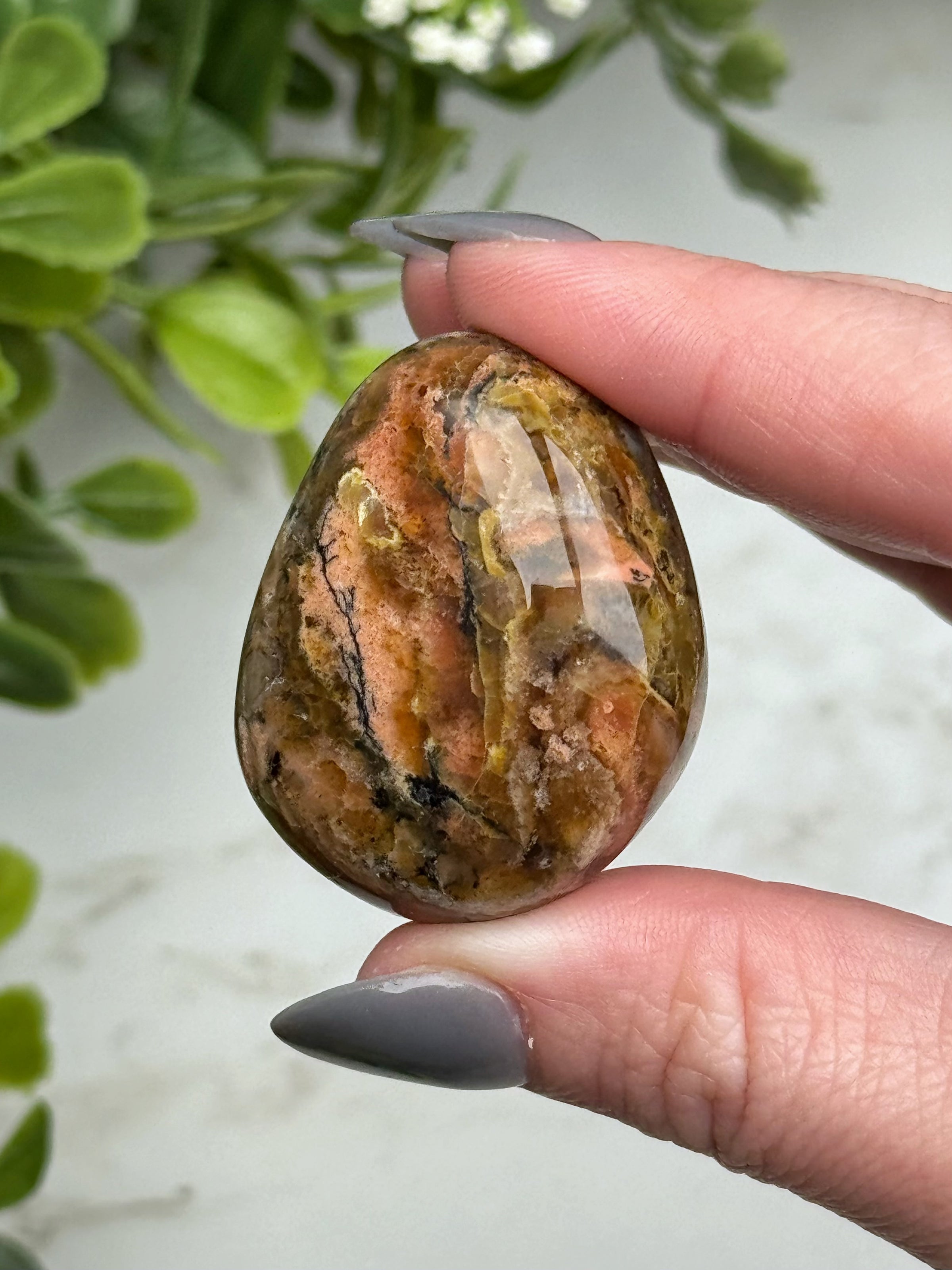 Blue Opalized Petrified Wood Palmstone - #13