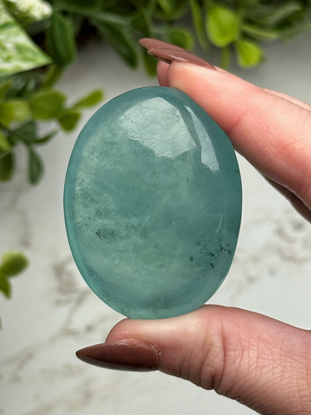 Aquamarine Palmstone - #13