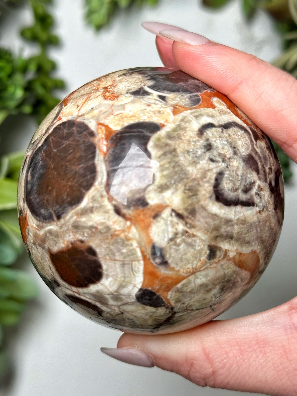 Money Agate Sphere - #7