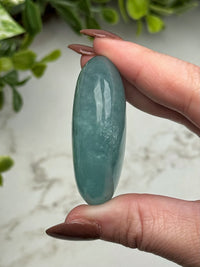 Aquamarine Palmstone - #13