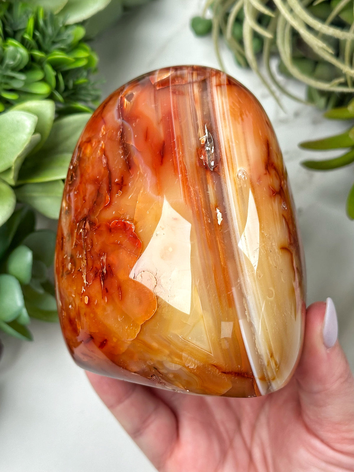 Carnelian Freeform - #13