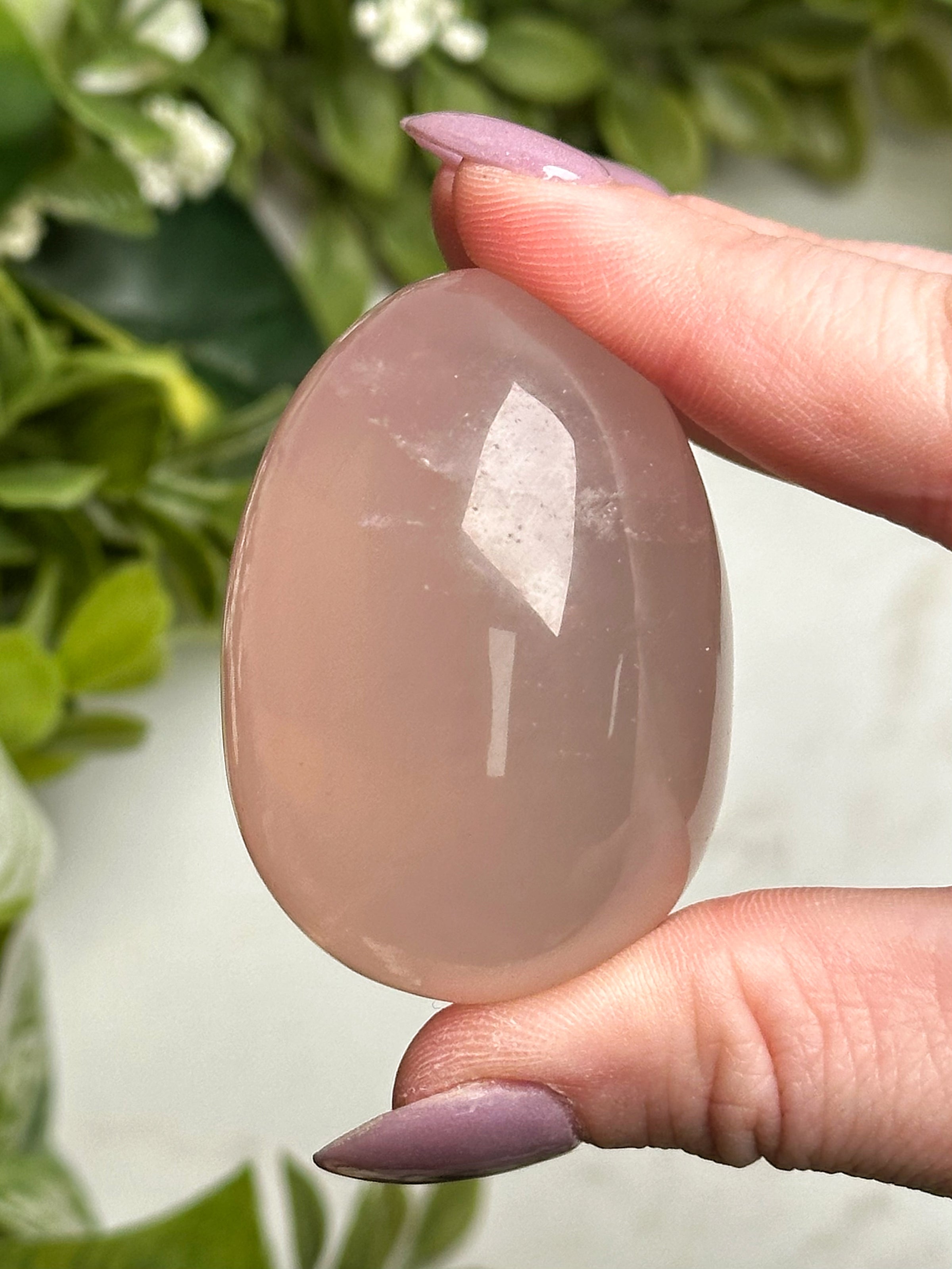 Star Rose Quartz Egg - #1