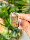 Ammolite Ring - #1