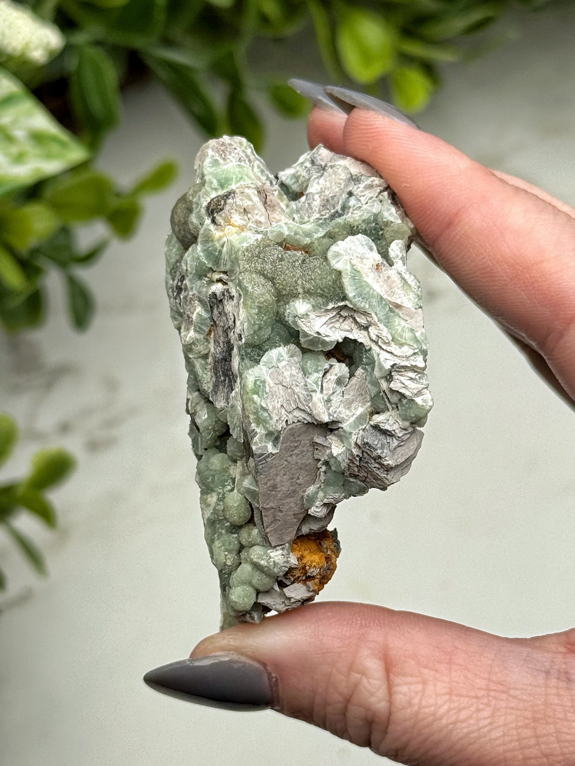 Wavellite - #11