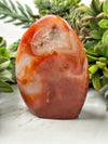 Carnelian Freeform - #12
