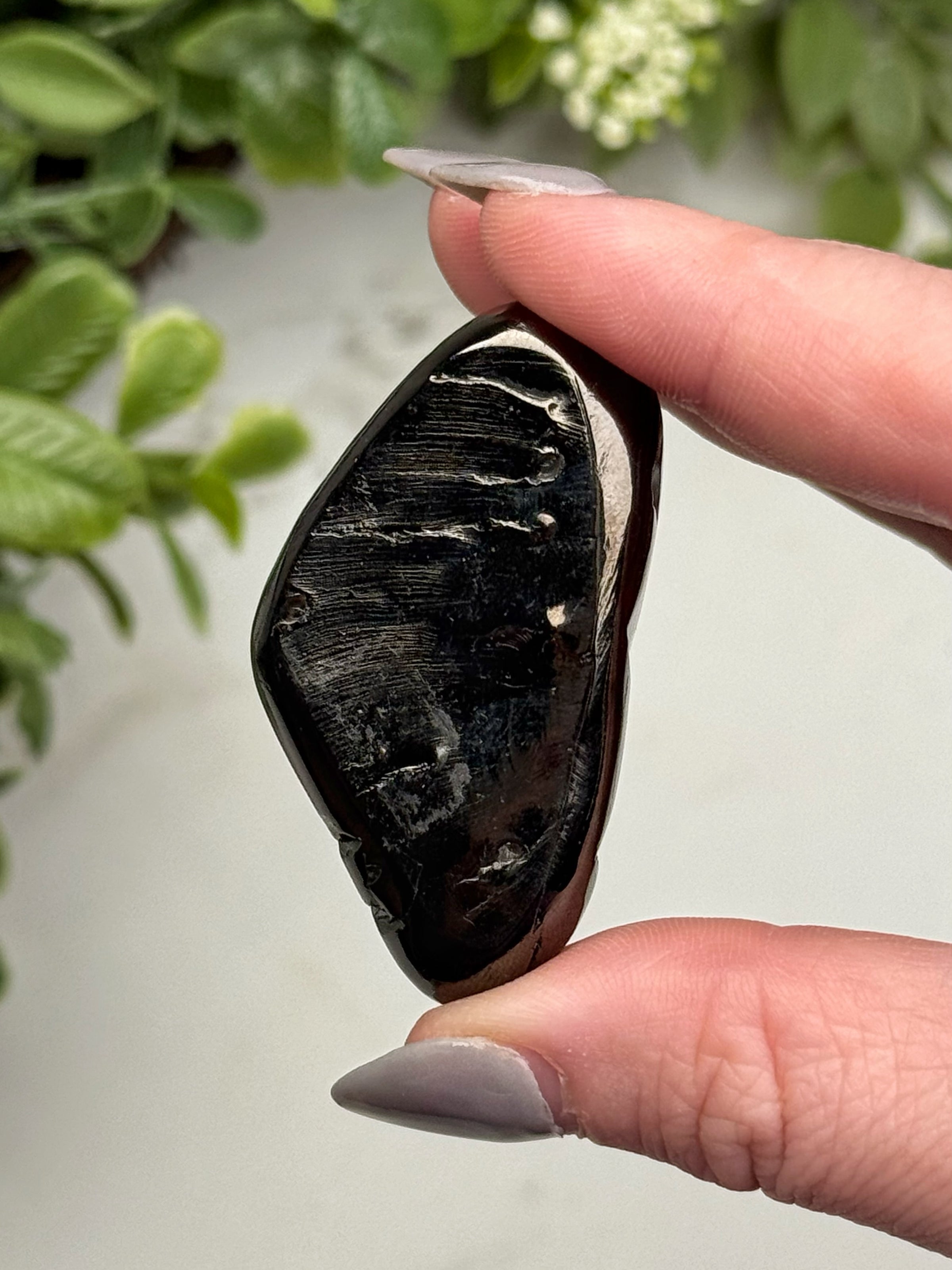 Elite Shungite Palmstone - #11