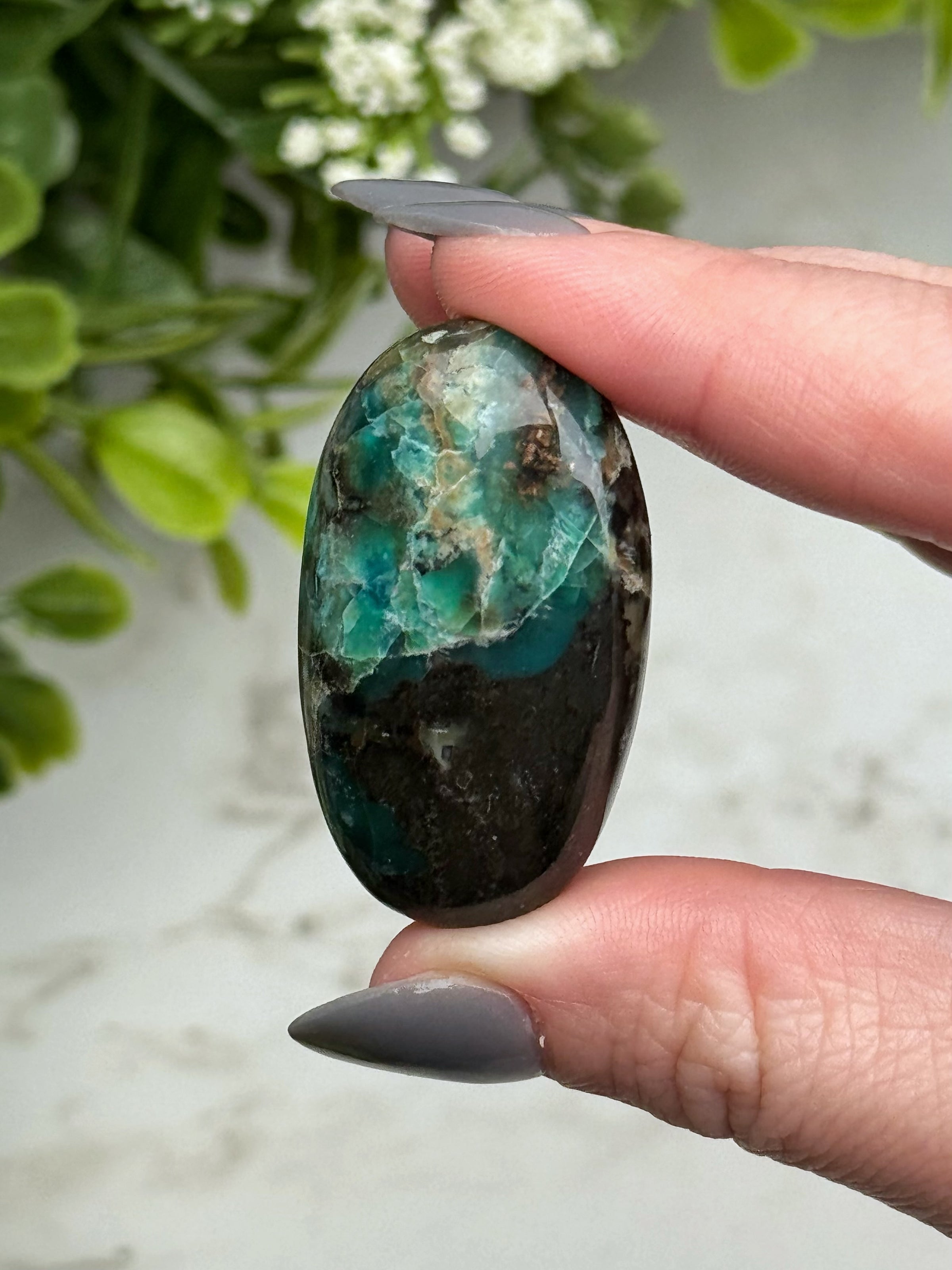 Blue Opalized Petrified Wood Palmstone - #14