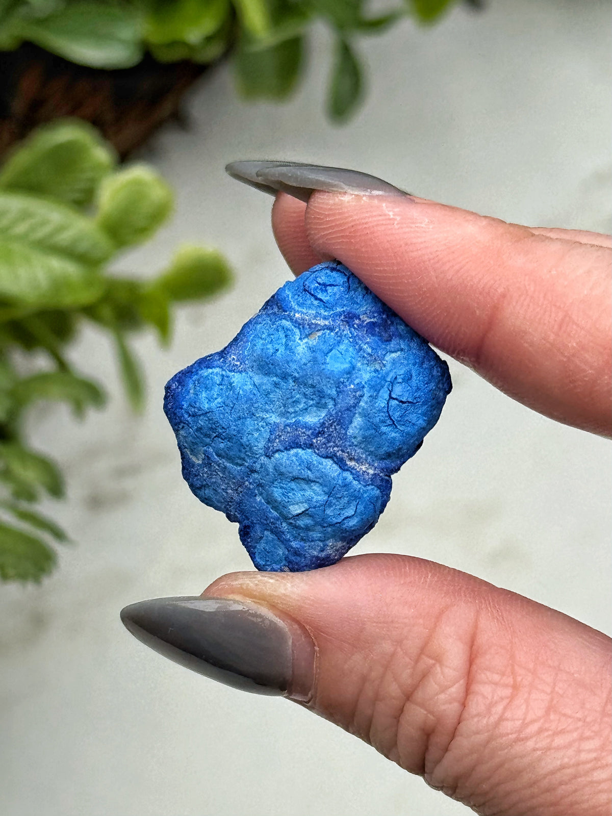 Blueberry Azurite Geode - #7