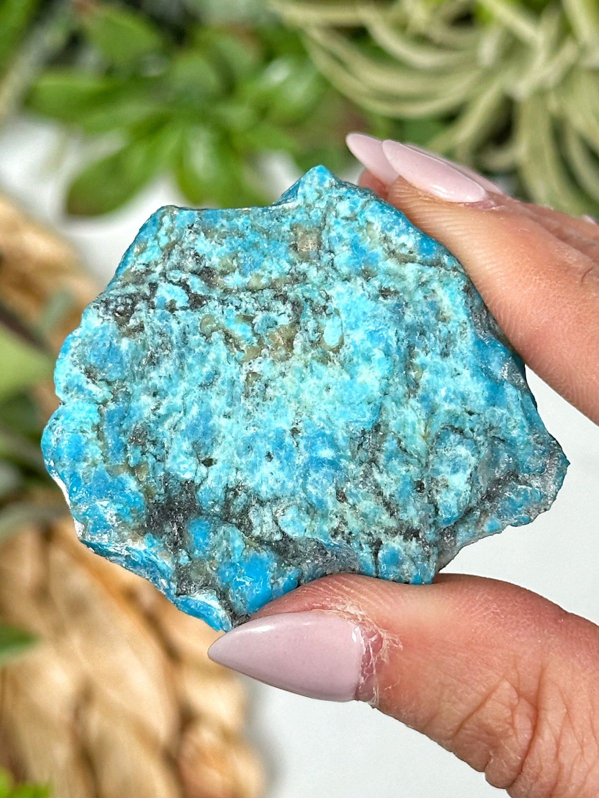 Kingman Turquoise Freeform - #1