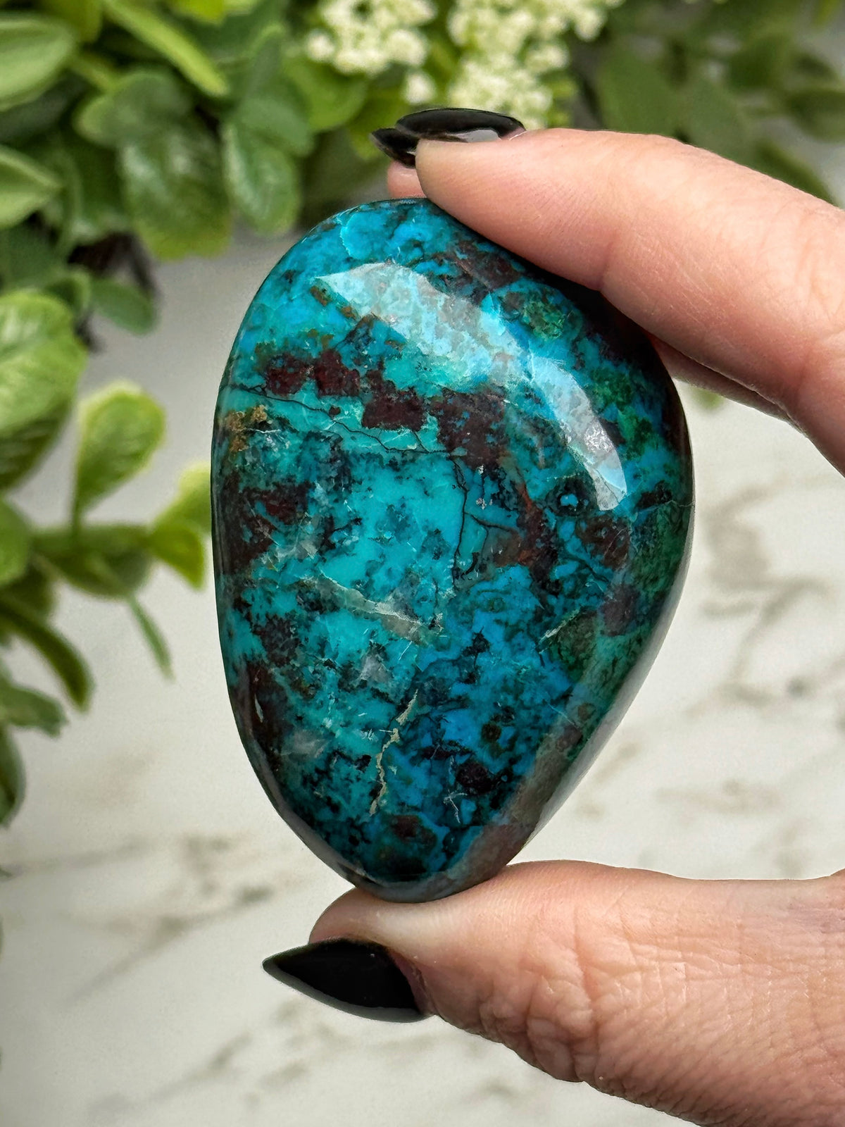 Chrysocolla Freeform - #24