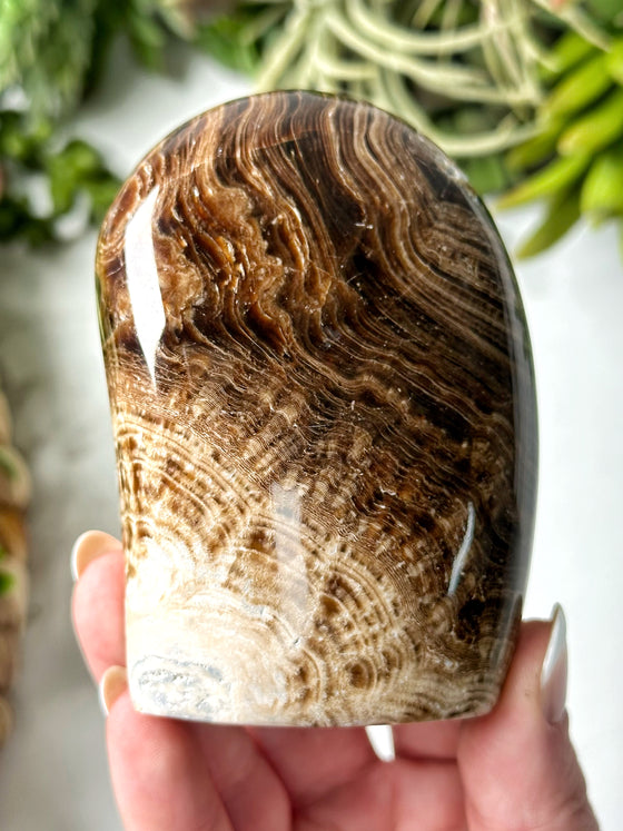 Chocolate Calcite Freeform - #8