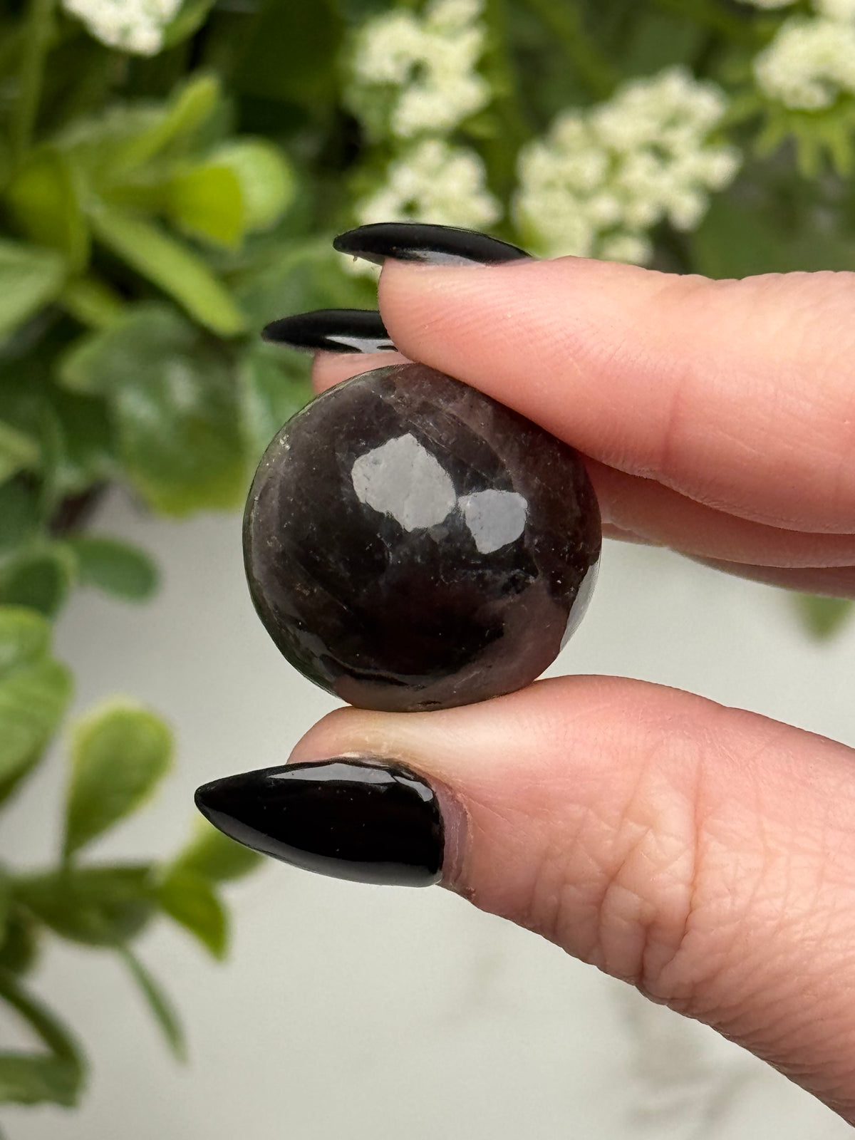 Black Moonstone with Sunstone Sphere - #5
