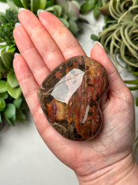 Petrified Wood Heart - #15