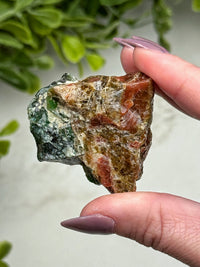 Raw Blue Opalized Petrified Wood - #14