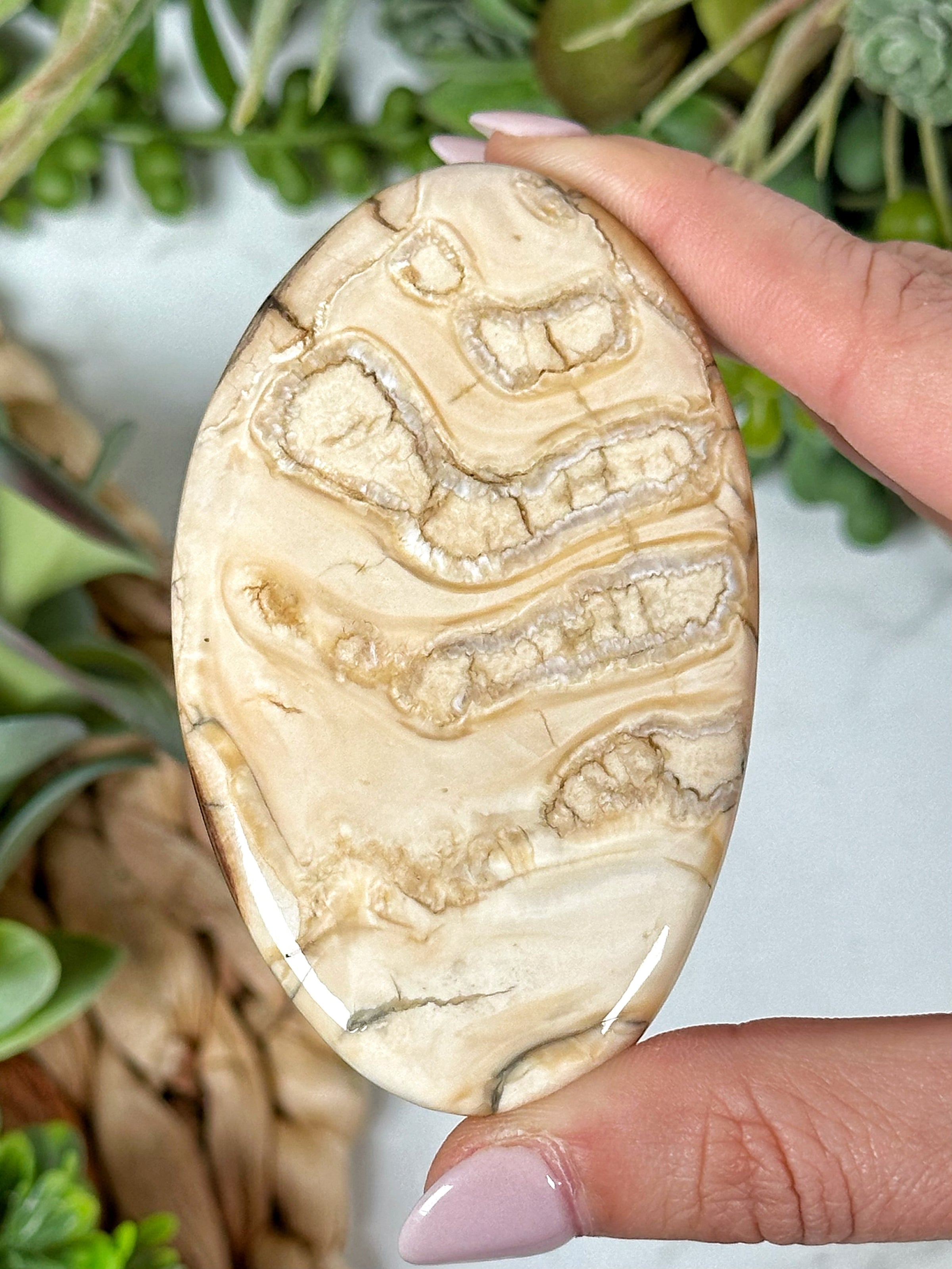 Woolly Mammoth Molar Palmstone - #1