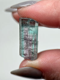 Santa Rosa Tourmaline - #3