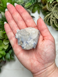 Dumortierite in Quartz - #8
