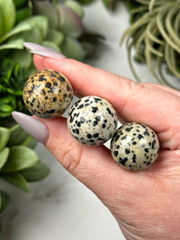 Dalmatian Jasper Mini Spheres - Root Chakra - No. 34