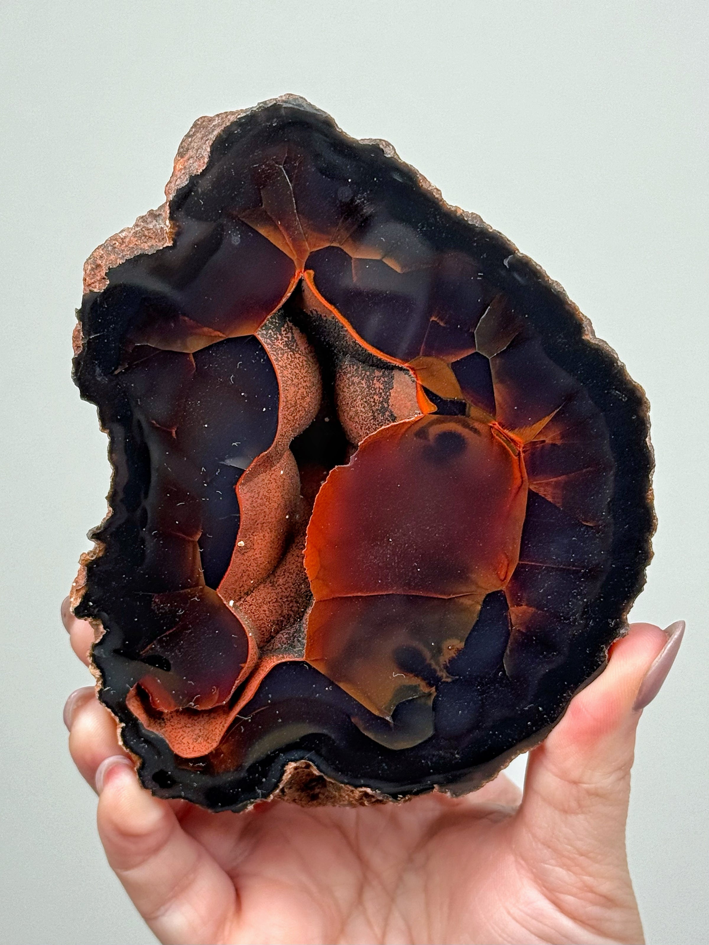 Red Fox Agate Geode - #1