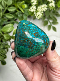 Chrysocolla Freeform - #21
