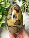 Septarian Freeform - #17