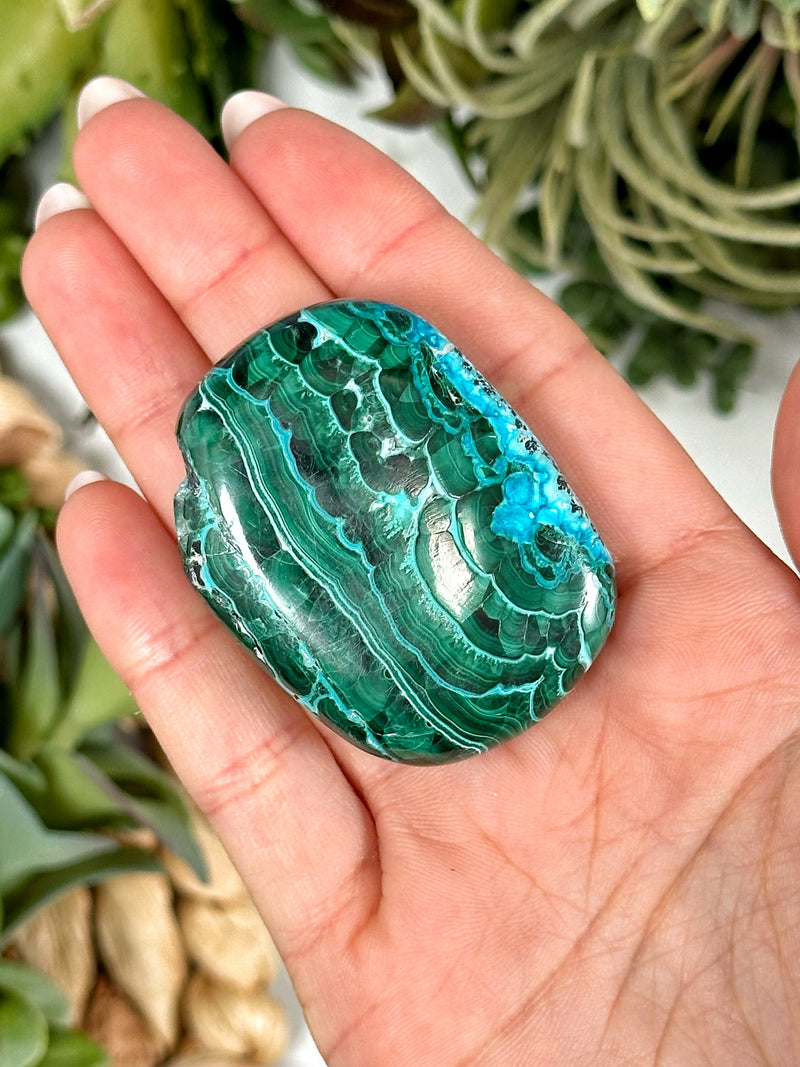 Chrysocolla Malachite Palmstone - #3