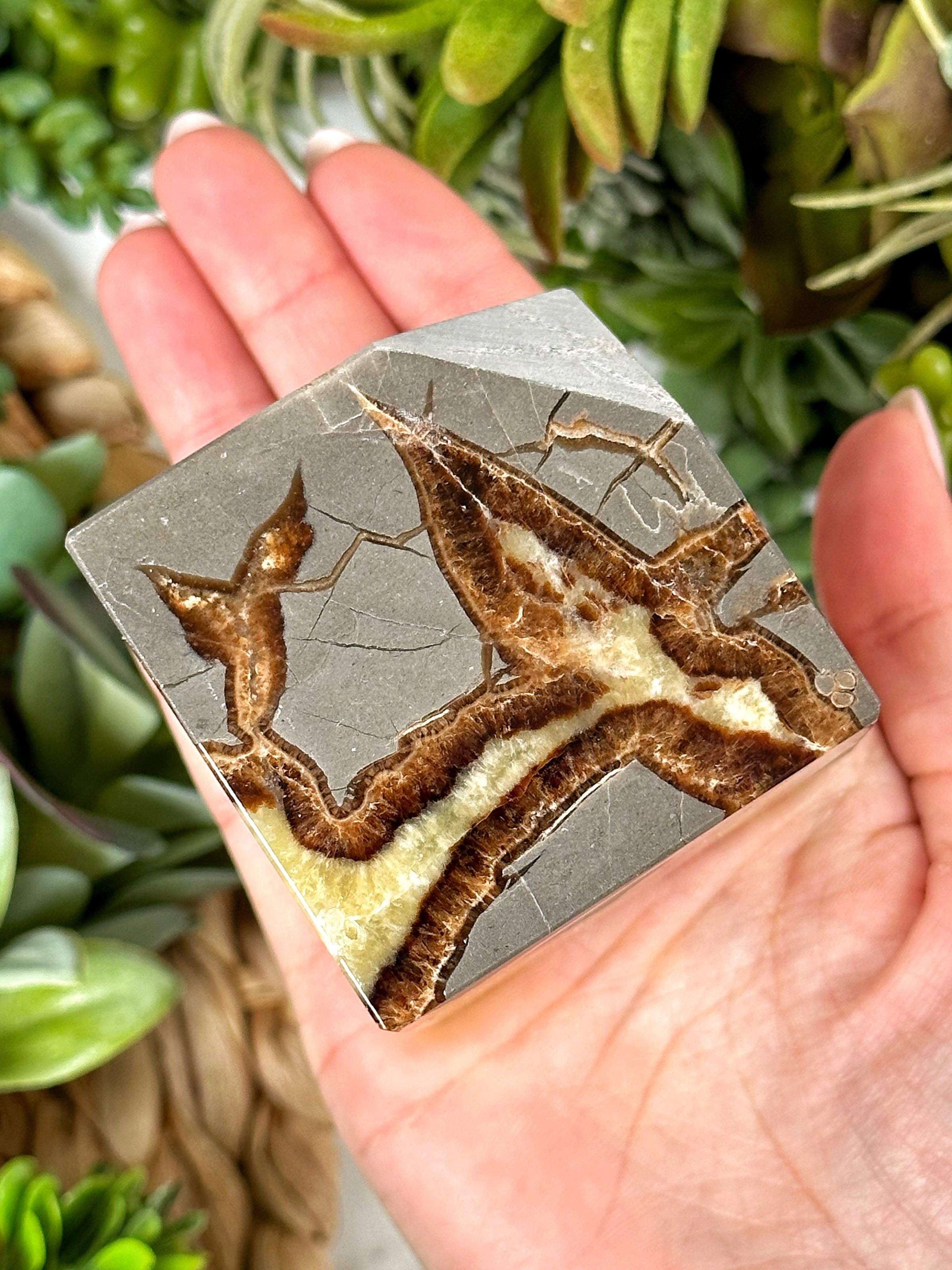 Septarian Cube - #1