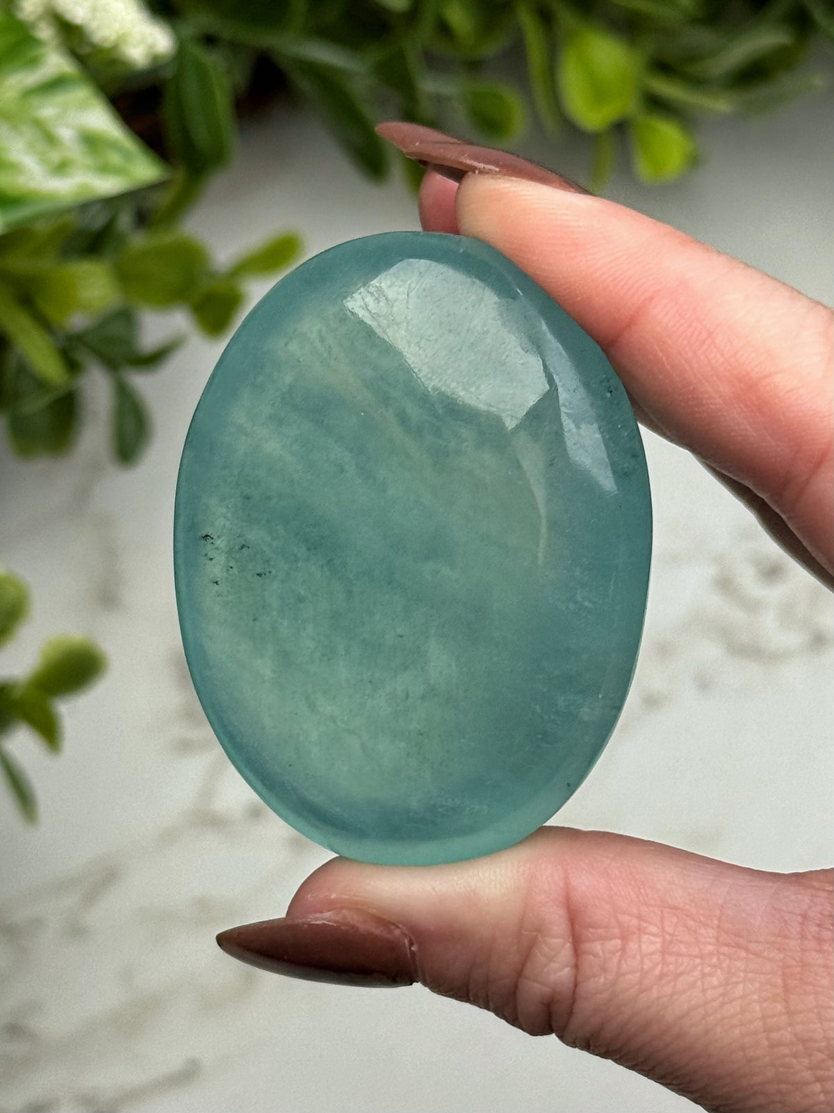 Aquamarine Palmstone - #12