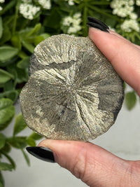 Pyrite Sun - #12