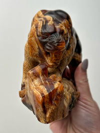 High Quality Amber Lion -#1