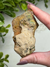 Raw Blue Opalized Petrified Wood - #13