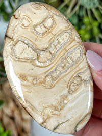 Woolly Mammoth Molar Palmstone - #1