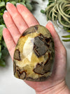 Septarian Freeform - #17