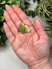 RARE Raw Pyromorphite - #12