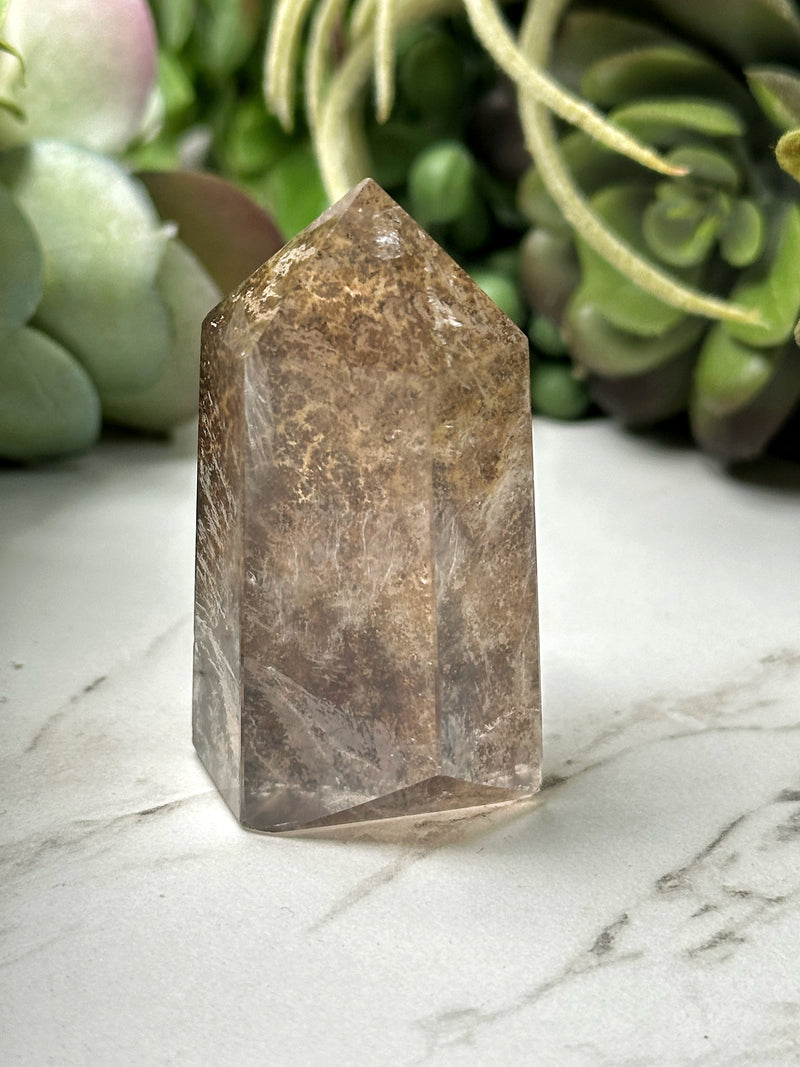 Dendritic Quartz Point - #9